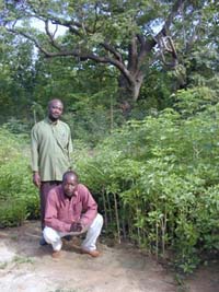 Messieurs Bationo et Nagalo devant leur jardin de Baobab