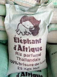 elefan_a33.jpg