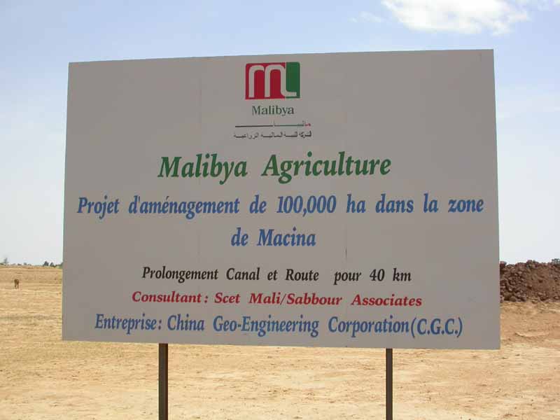 Malibya la socité chargée d'exploiter les 100 000 ha offerts à la Libye