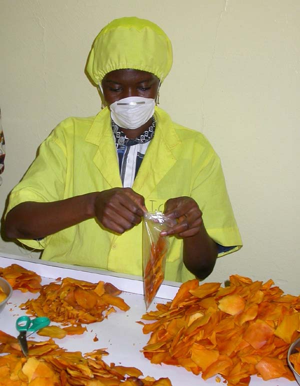 Mise en sachet des mangues séchées (Coopérative de Orodara)