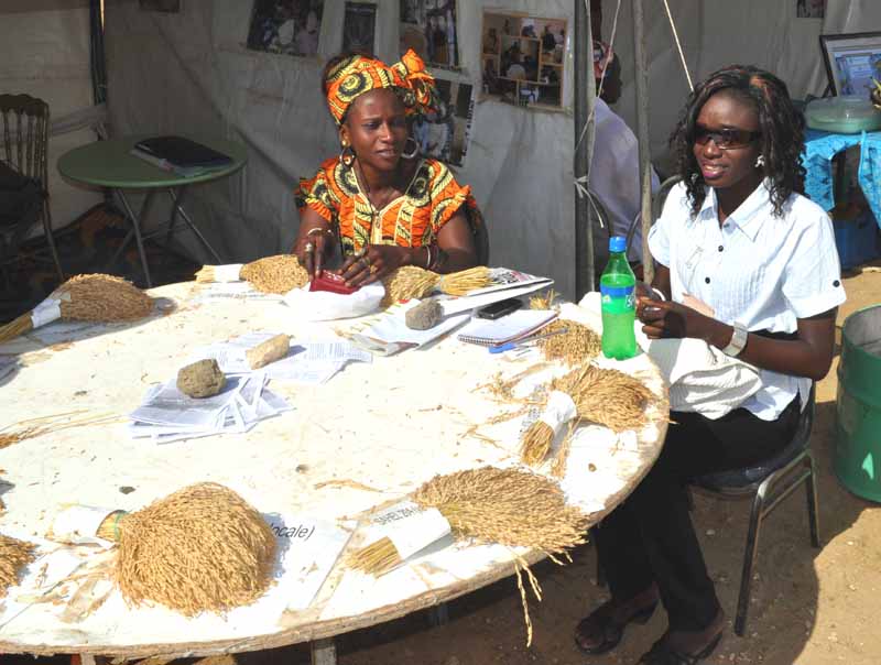 Les femmes africaines défendent leurs semences !